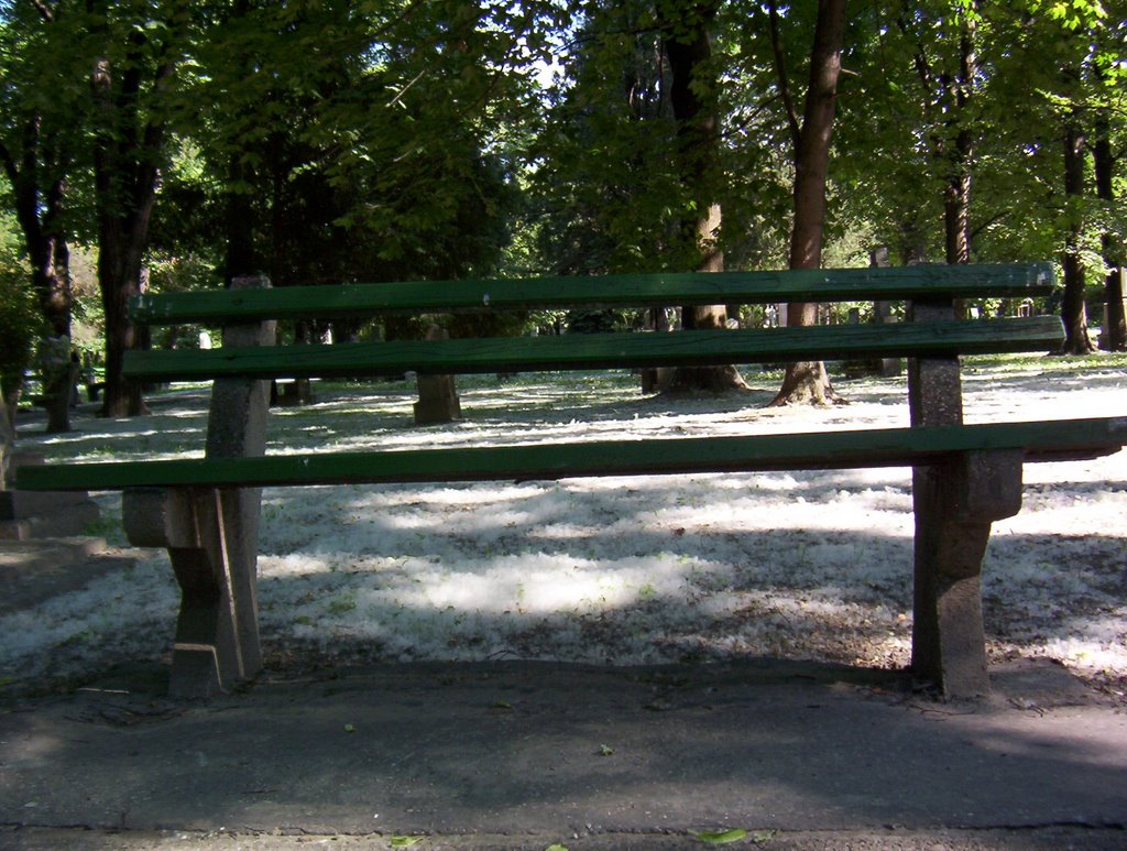 Blütenflaum-Friedhof-Pressburg-Bratislava by Kunst-Frau.de