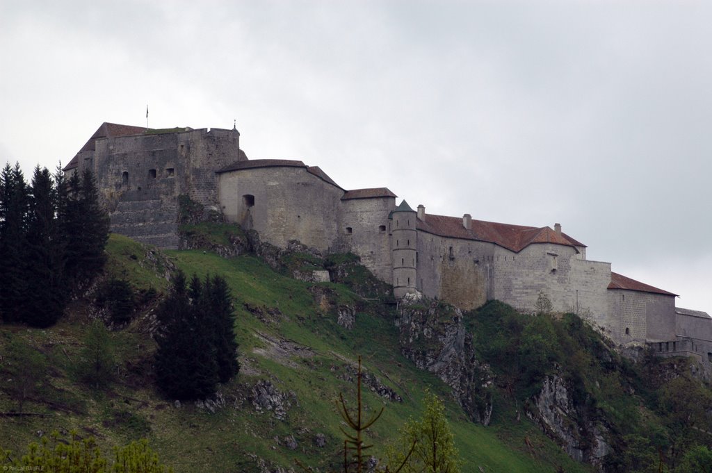 Fort de Joux by pilouKa