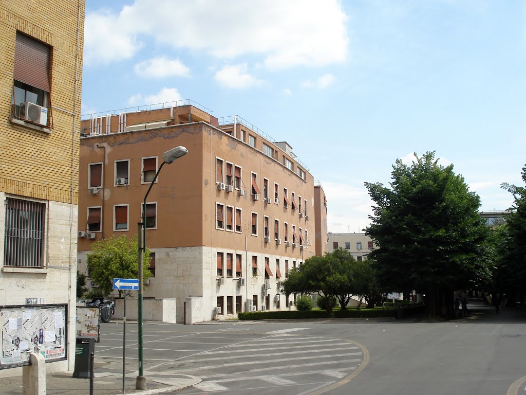 Istituto di Fisiologia Generale della Città Universitaria (La Sapienza) by Alto_79