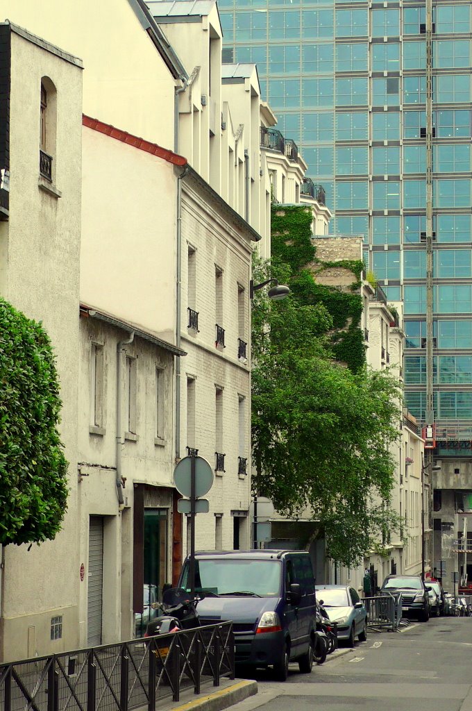 Rue de la Saida - Paris XVème by Patrick ADAM