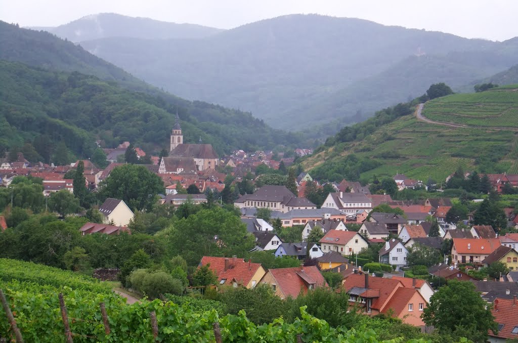 Andlau, vue sur le centre by Nidoo