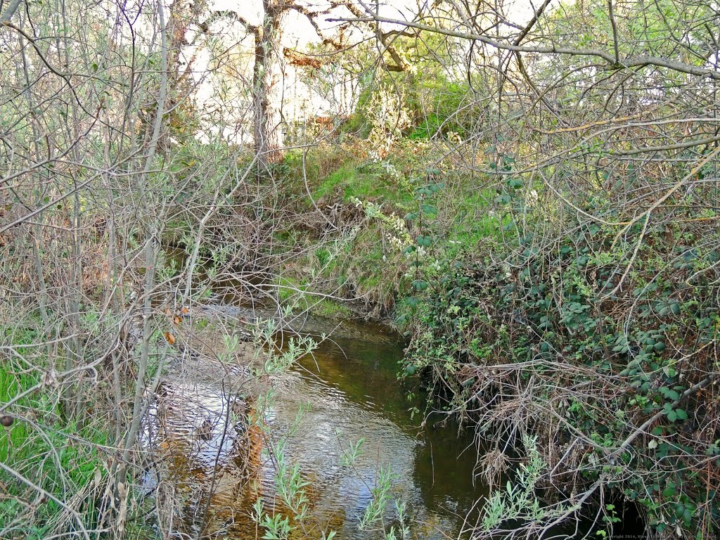 Linda Creek, Roseville by Steve Schmorleitz, NationalParkLover.com