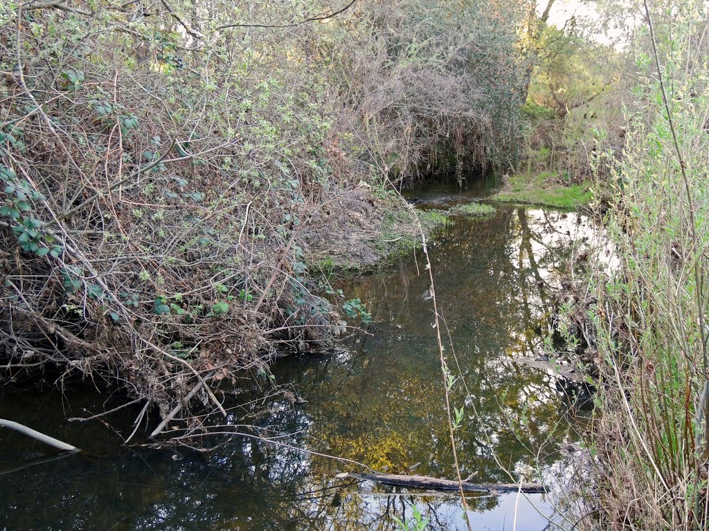 Linda Creek, Roseville by Steve Schmorleitz, NationalParkLover.com