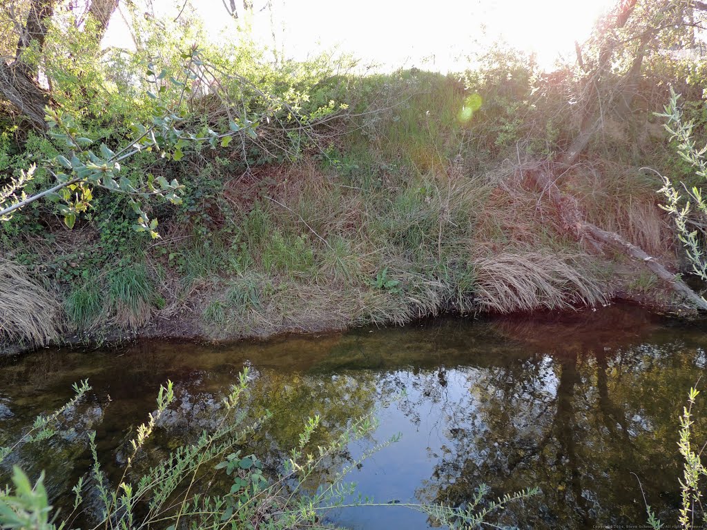 Linda Creek, Roseville by Steve Schmorleitz, NationalParkLover.com