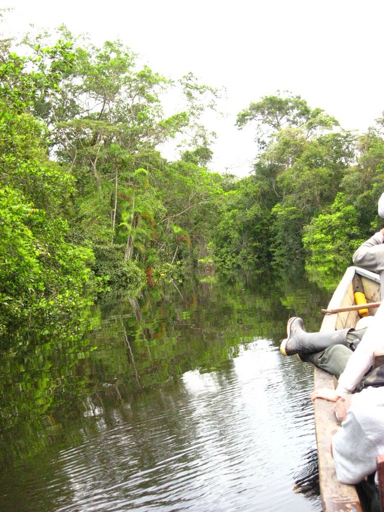 Sucumbíos Province, Ecuador by Heleana Zambonino