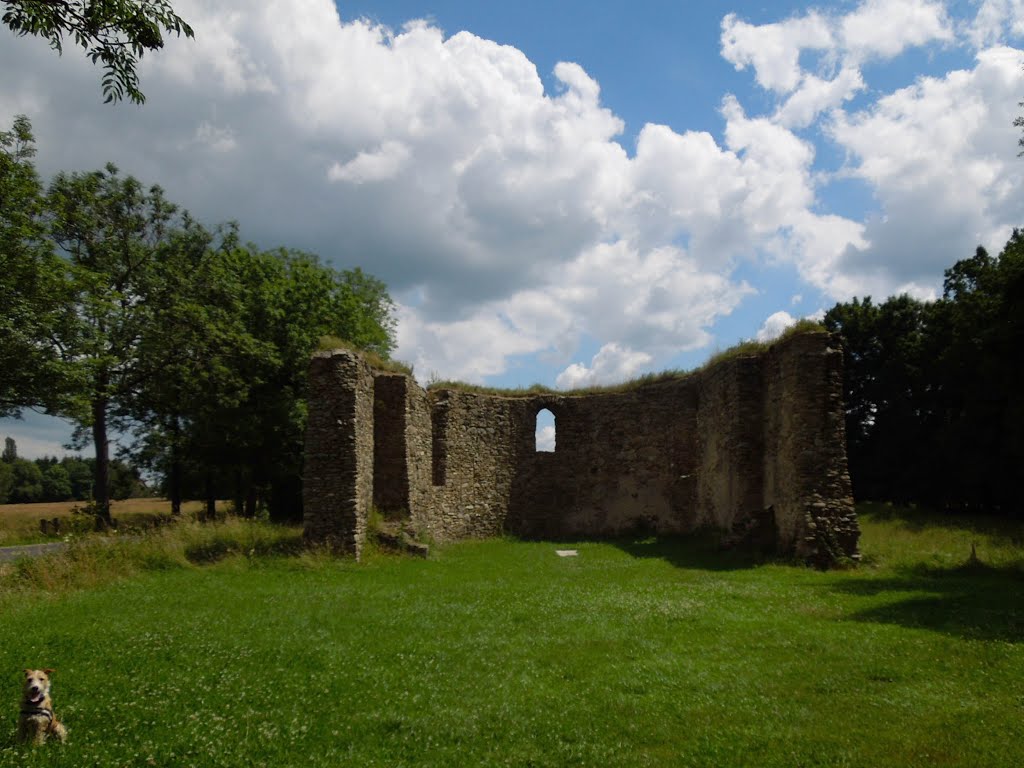 Torzo kostela sv. Jakuba - 6.7.2014 by Robin - psí turista