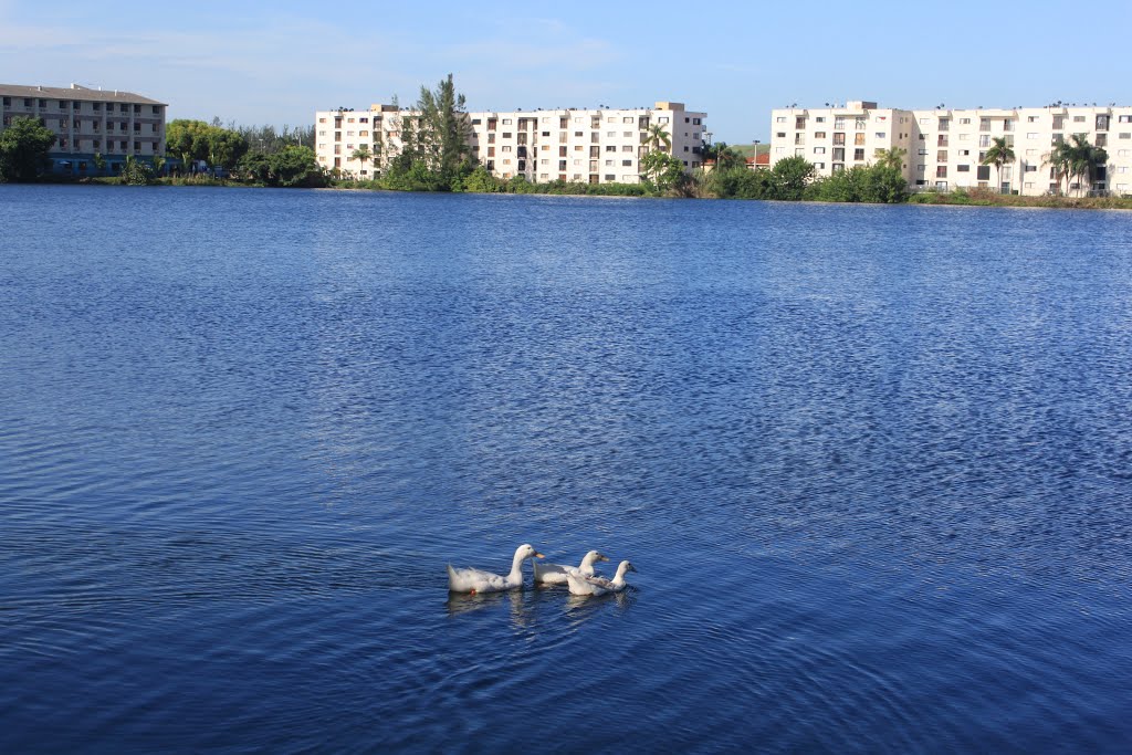 Samari Lakes Condominium - Hialeah Gardens, FL, USA by ACrossbow