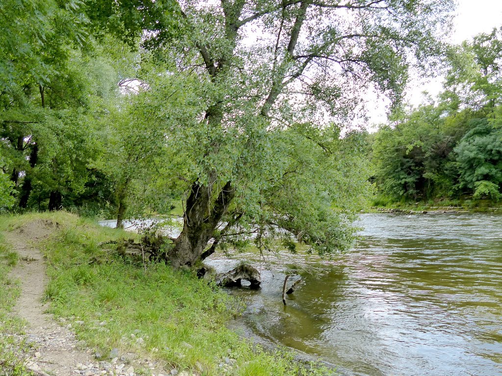 Chauzon - L'Ardèche by epaulard59