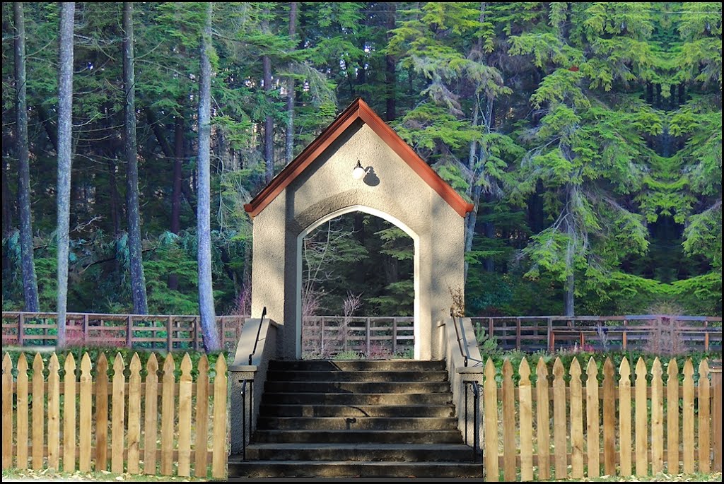 Forest portal. The religion of Nature - Nov 2012. by ThosGee