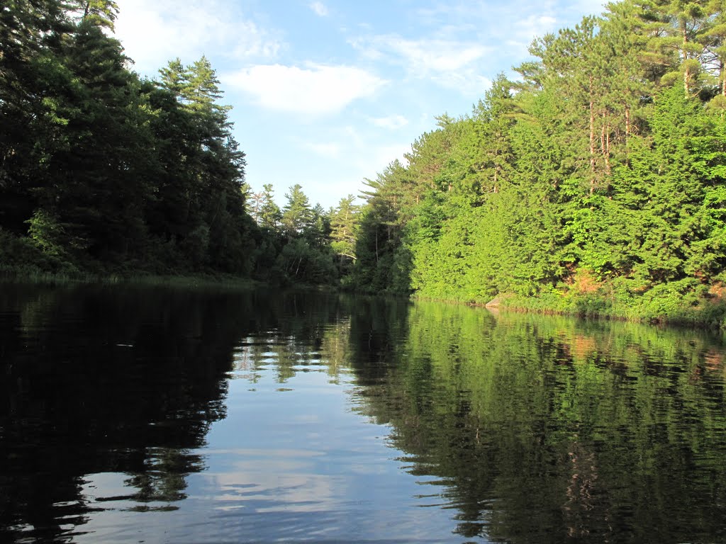 Little Pea Porridge Pond, Madison, NH by mariok40