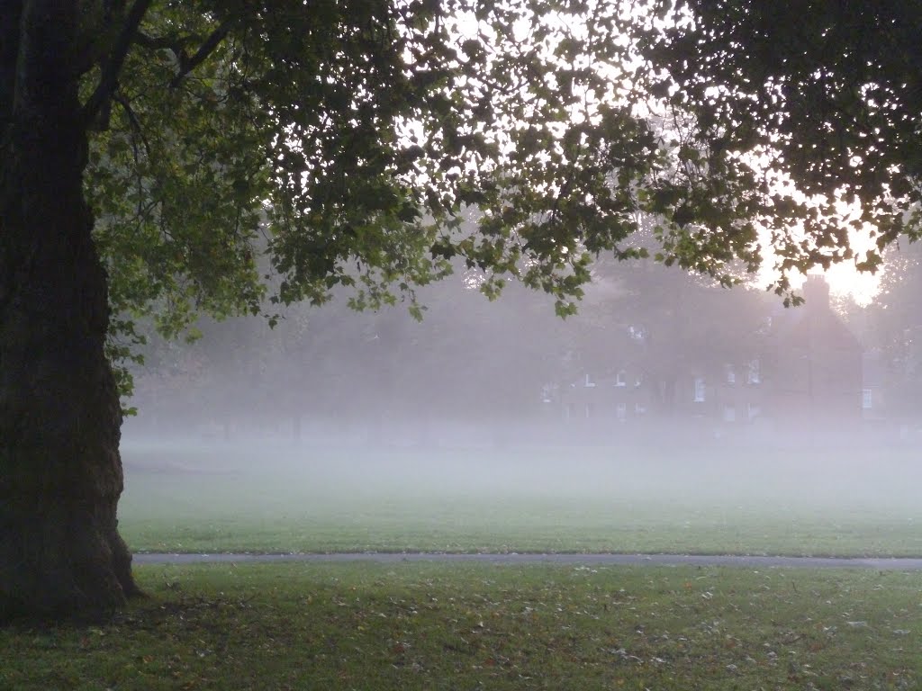 Well Street Common by Mike Atkinson