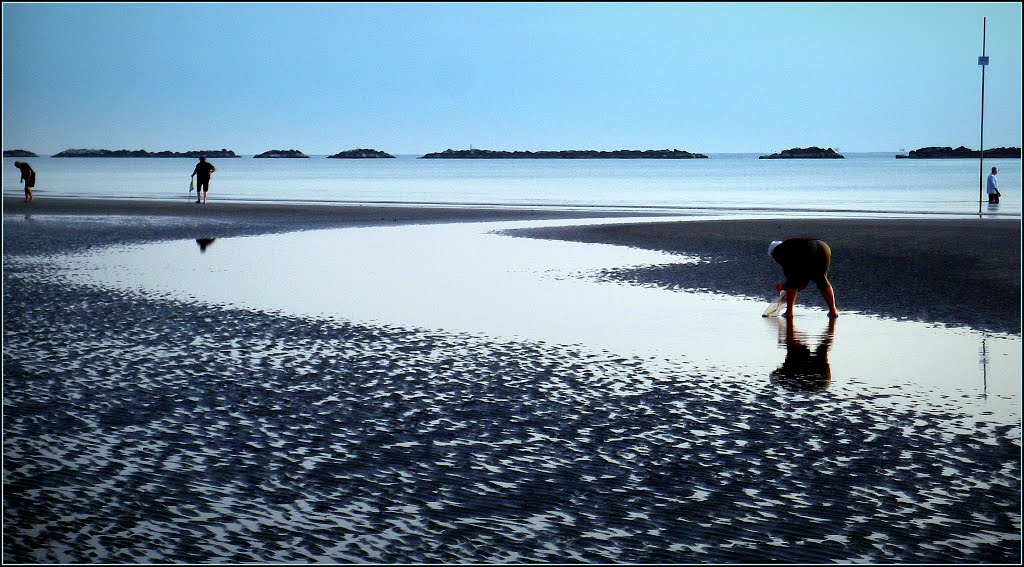 06,06 hours...Low tide and shellfish gatherers or shells at dawn. by Johnny Poole