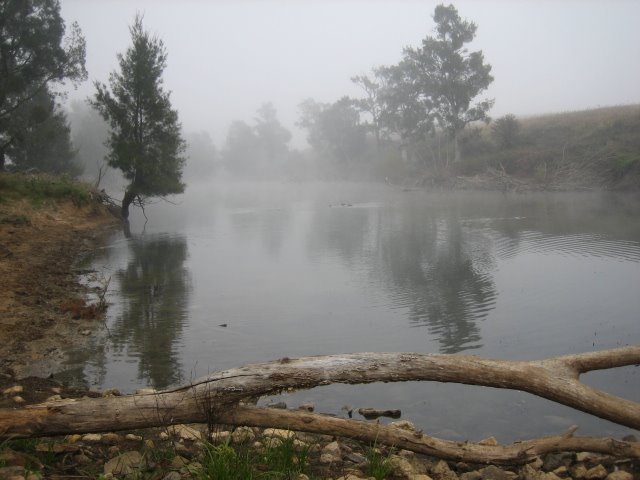 Wollondilly River - Early Autumn Morning by Ground Cover