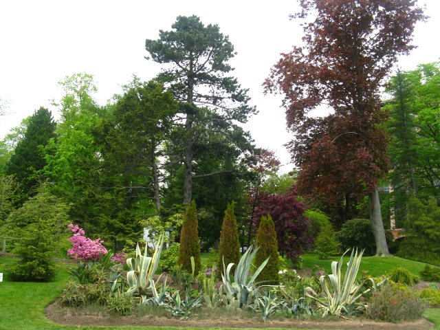 A lovely floral and plant arrangement and view inside The Halifax Public Gardens by jonfromnsca