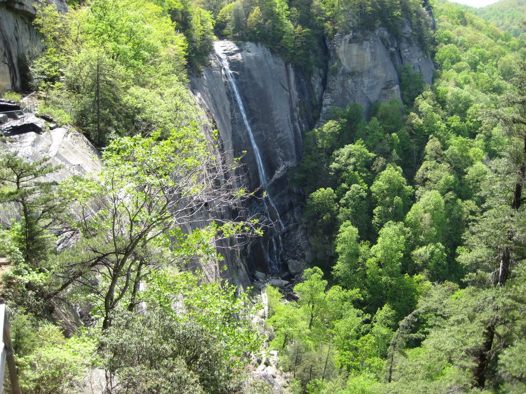 Hickory nut fall by Mehmet OZ