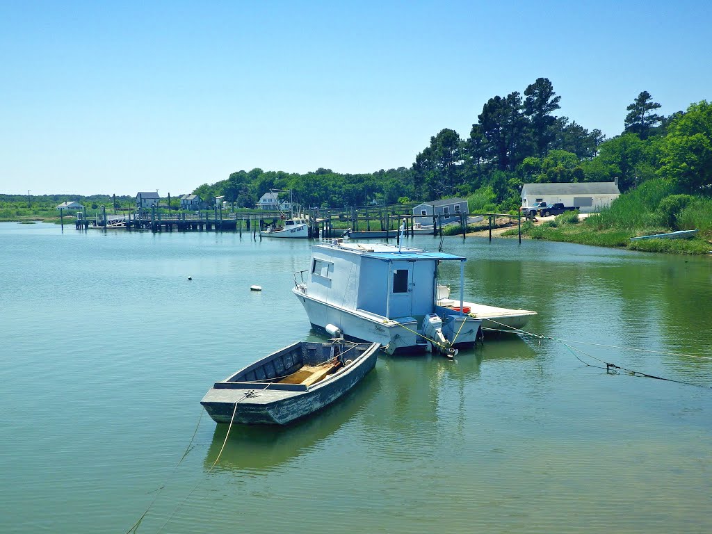 Mooring, Oyster, VA by Dan R. Mills