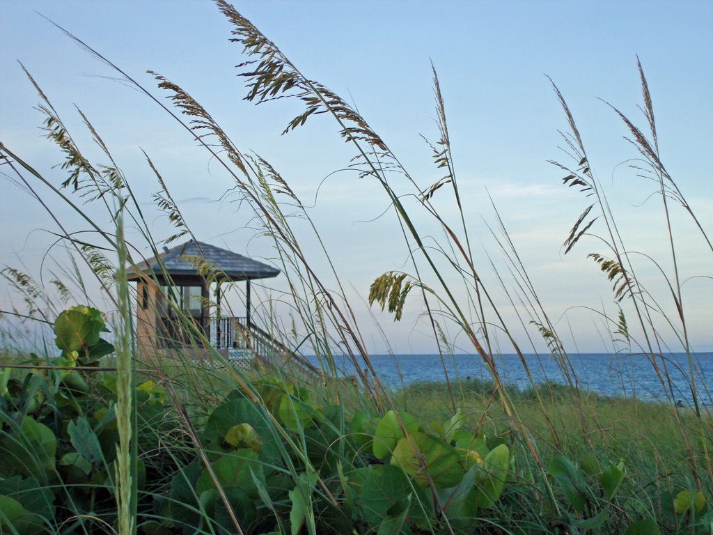 Delray Beach by Photographybyhansel