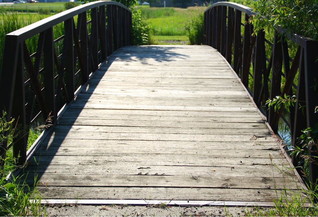 Foot bridge over the Pelican River by jade5966