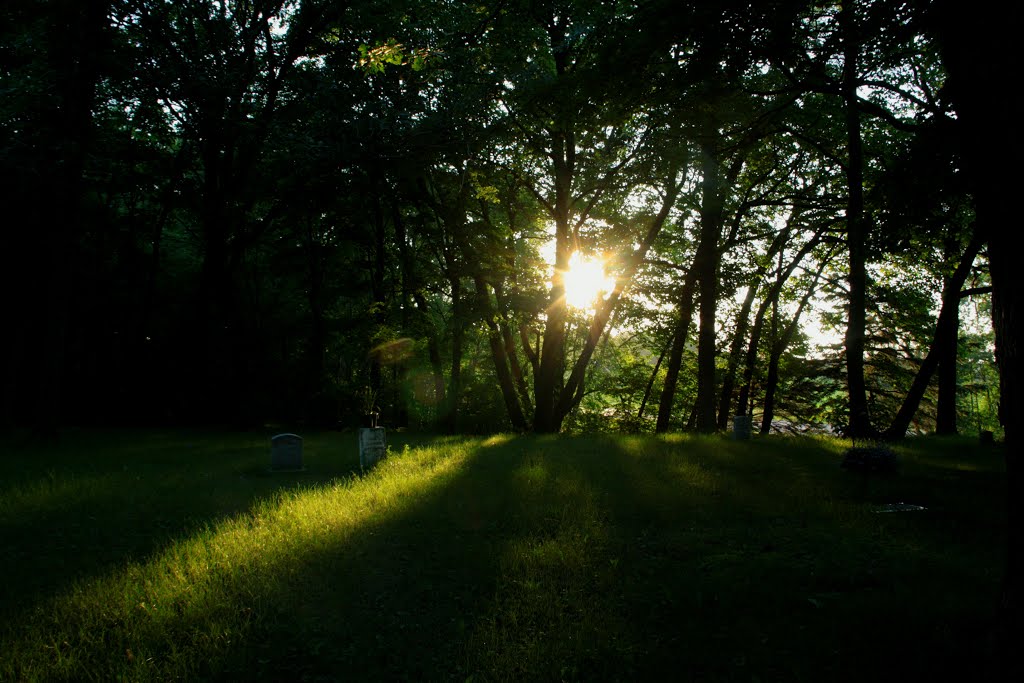 Elmwood Cemetery in the evening by jade5966