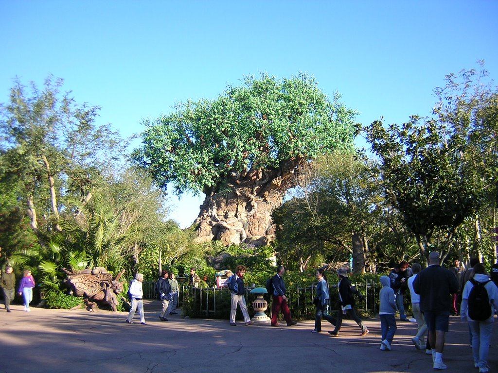 The Tree of Life in Animal Kingdom by Mitch_?