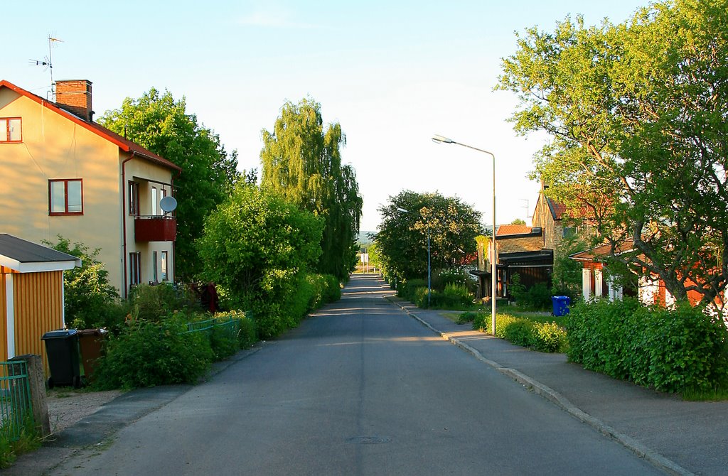 Slöjdgatan by Lars-Erik Franson