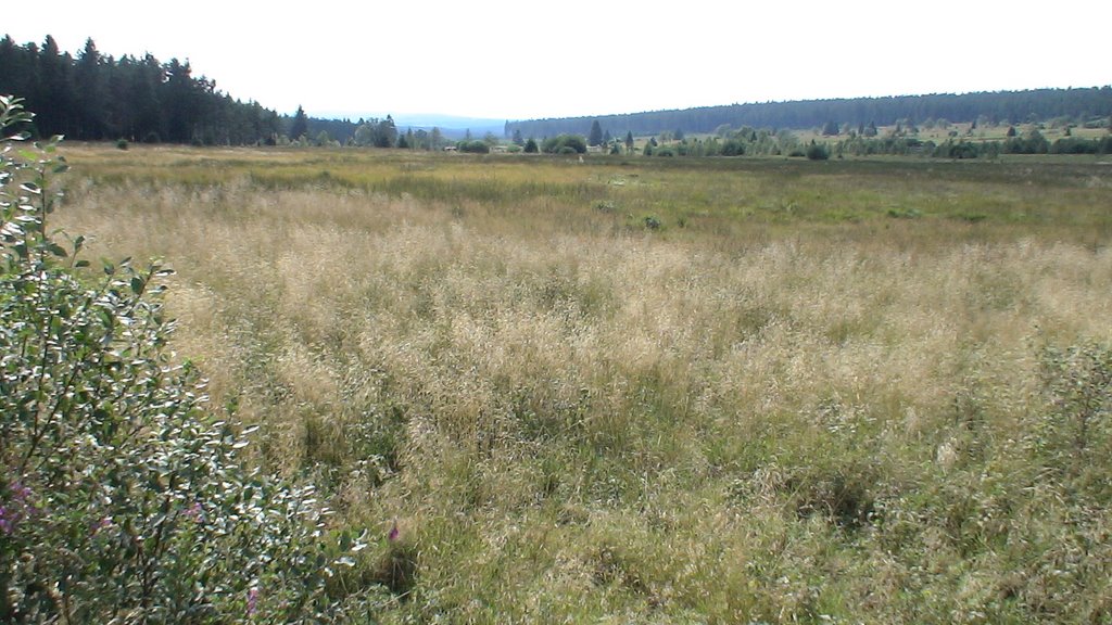 Fagne et vallée de la Polleur by navi007