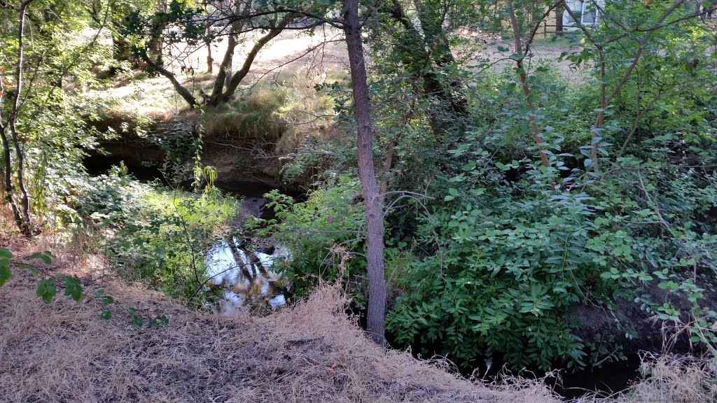 Linda Creek by Steve Schmorleitz, NationalParkLover.com