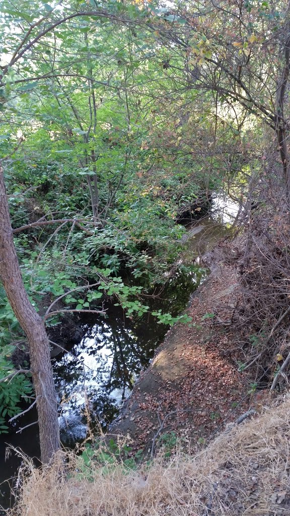 Linda Creek by Steve Schmorleitz, NationalParkLover.com