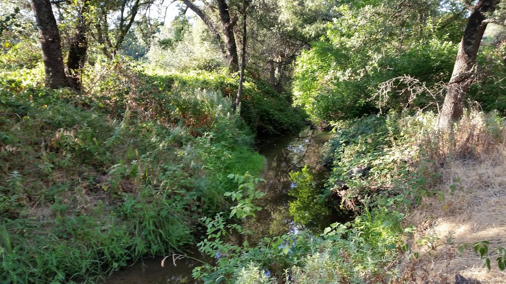 Linda Creek by Steve Schmorleitz, NationalParkLover.com