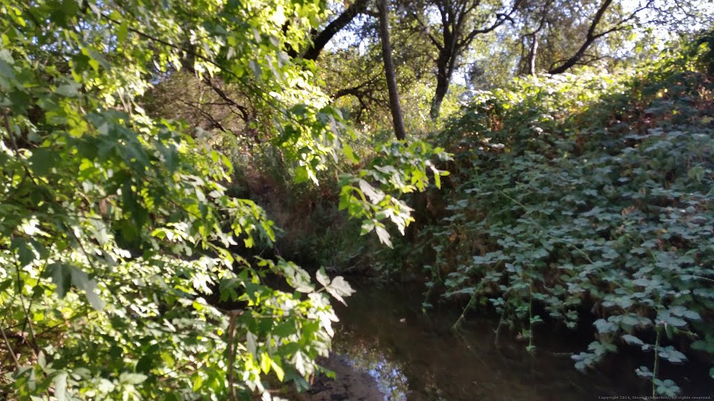 Linda Creek by Steve Schmorleitz, NationalParkLover.com