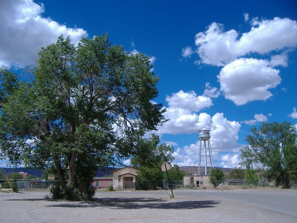 Thoreau school and water tower by FlagFreak