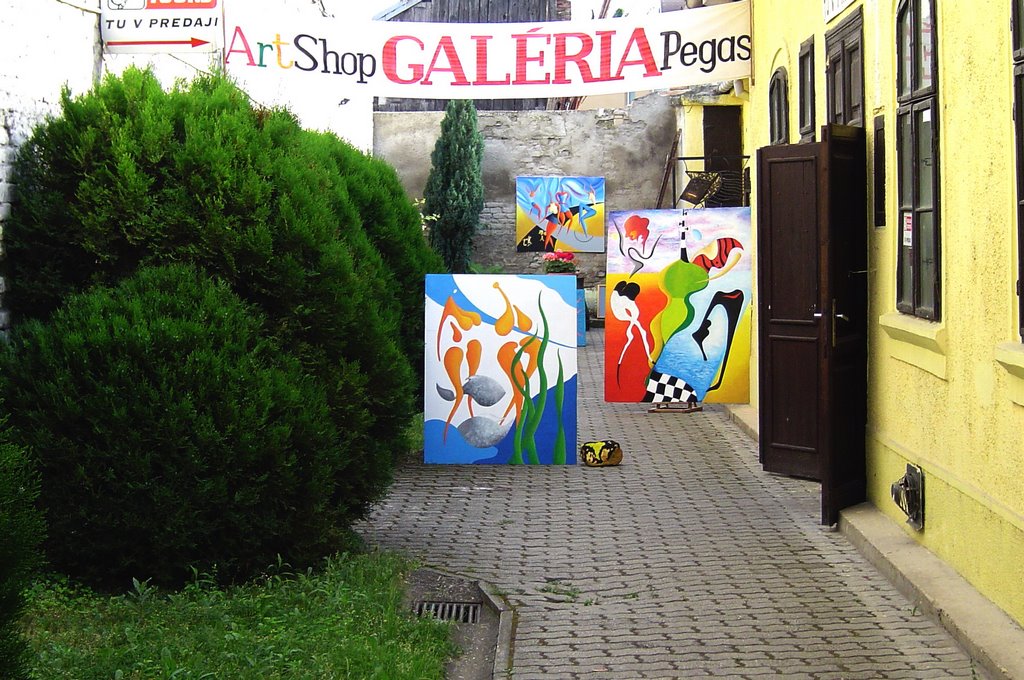 Gallery Pegas,Palatinova street No.16,Komarno, Slovakia, www.artgallerypegas.eu by slovak.artist