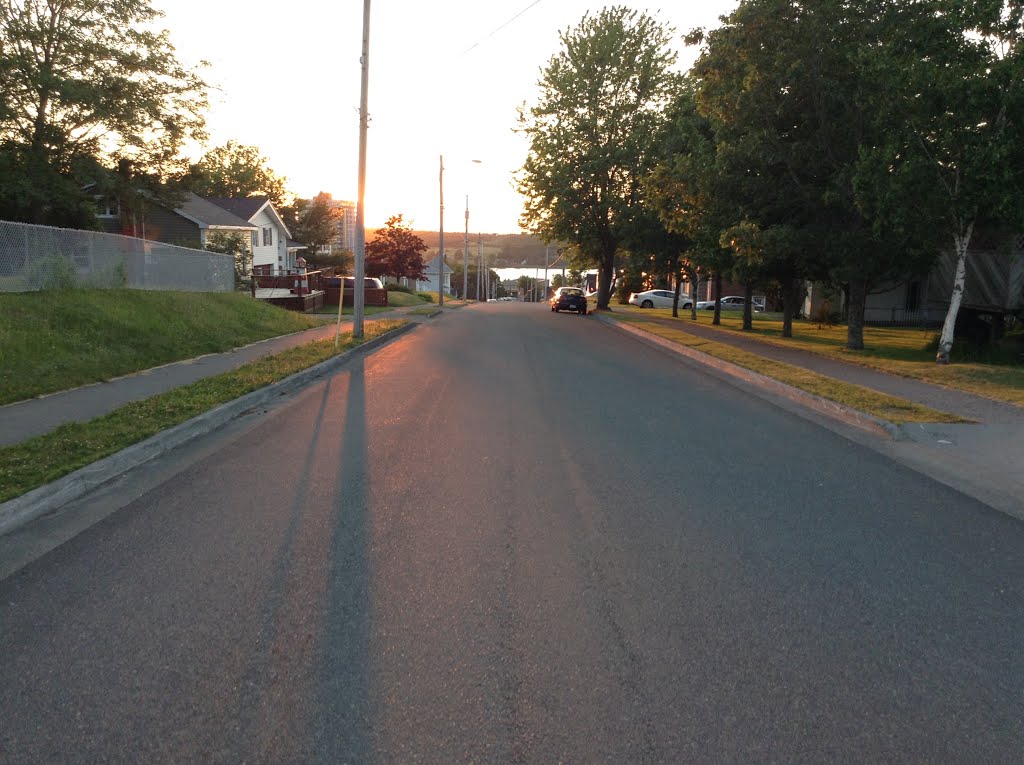 Castle Drive during Sunset by Frankie MacDonald