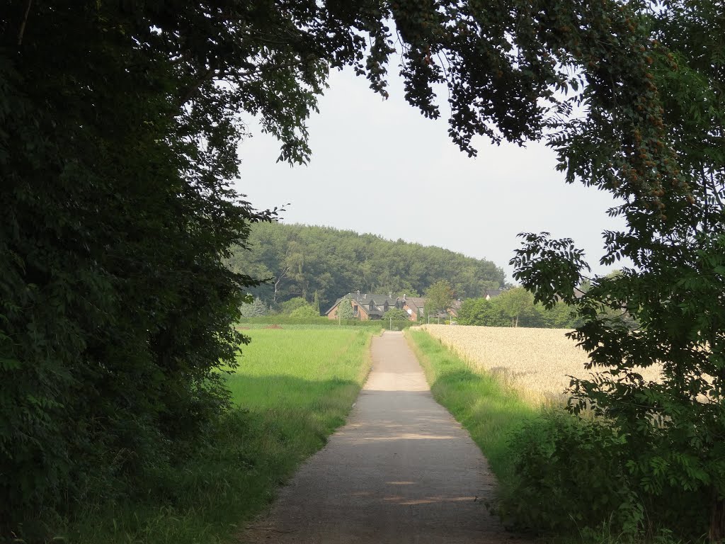 Fühlingen, Köln, Deutschland by Ender Süren