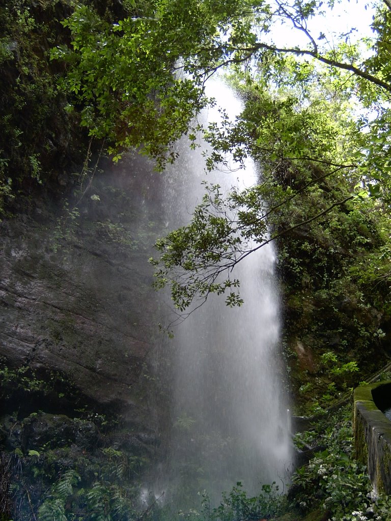 Cascada Los Tilos 2 by paul teutul