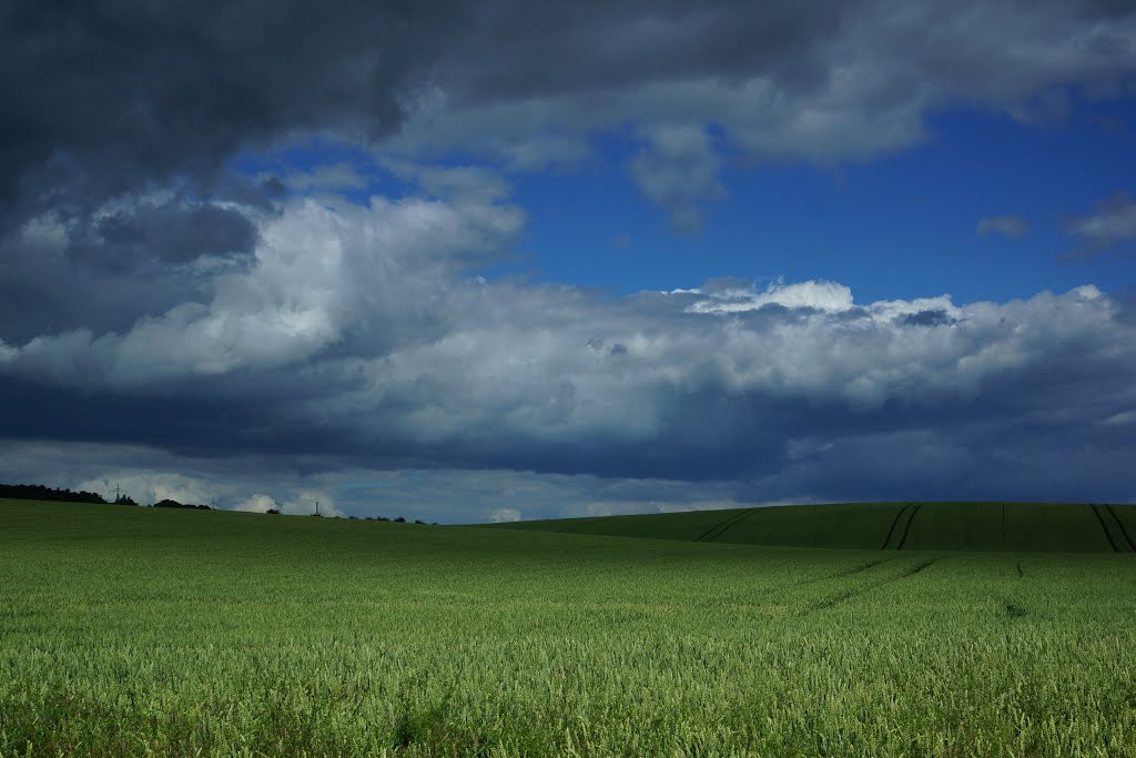 Ilm Valley - fields near Kromsdorf by Cliff68