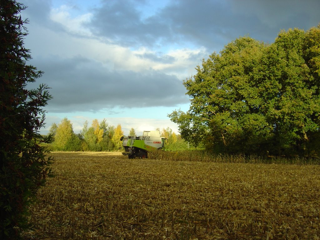 Maisernte vor dem Regen by Maenne