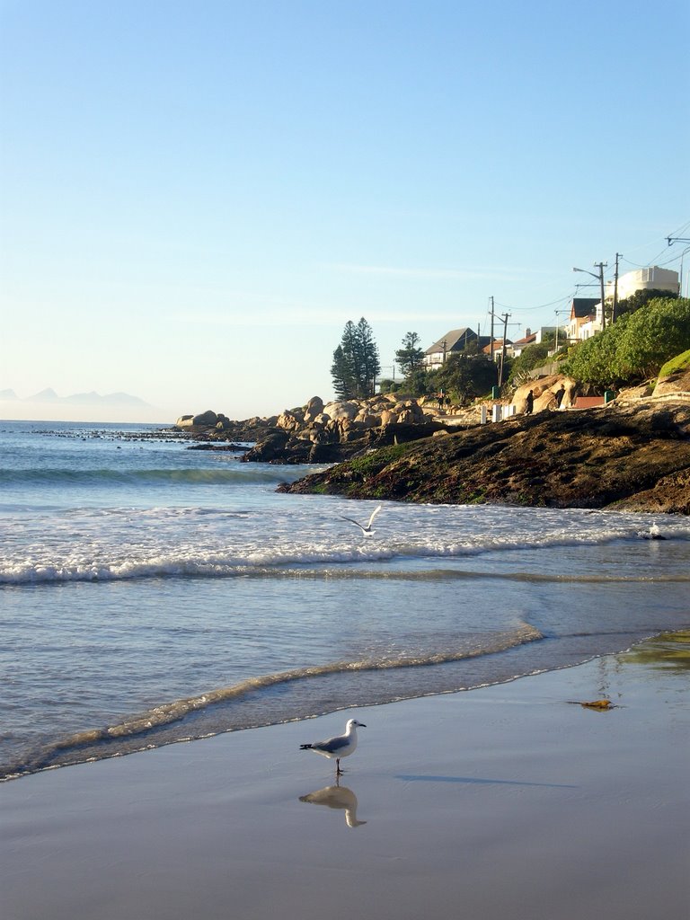 Seagulls on Fish Hoek Beach by Maria Wagener