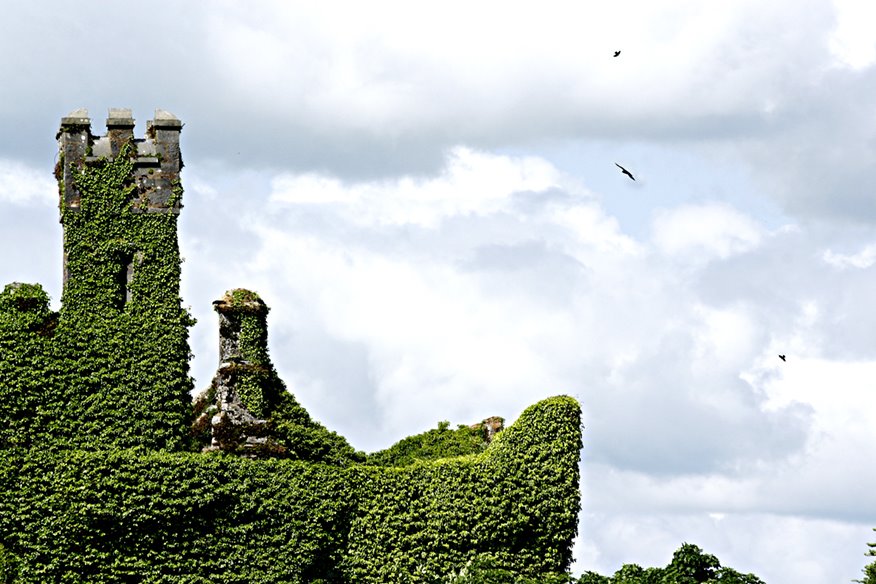 Castle close-up by CraigHarmer