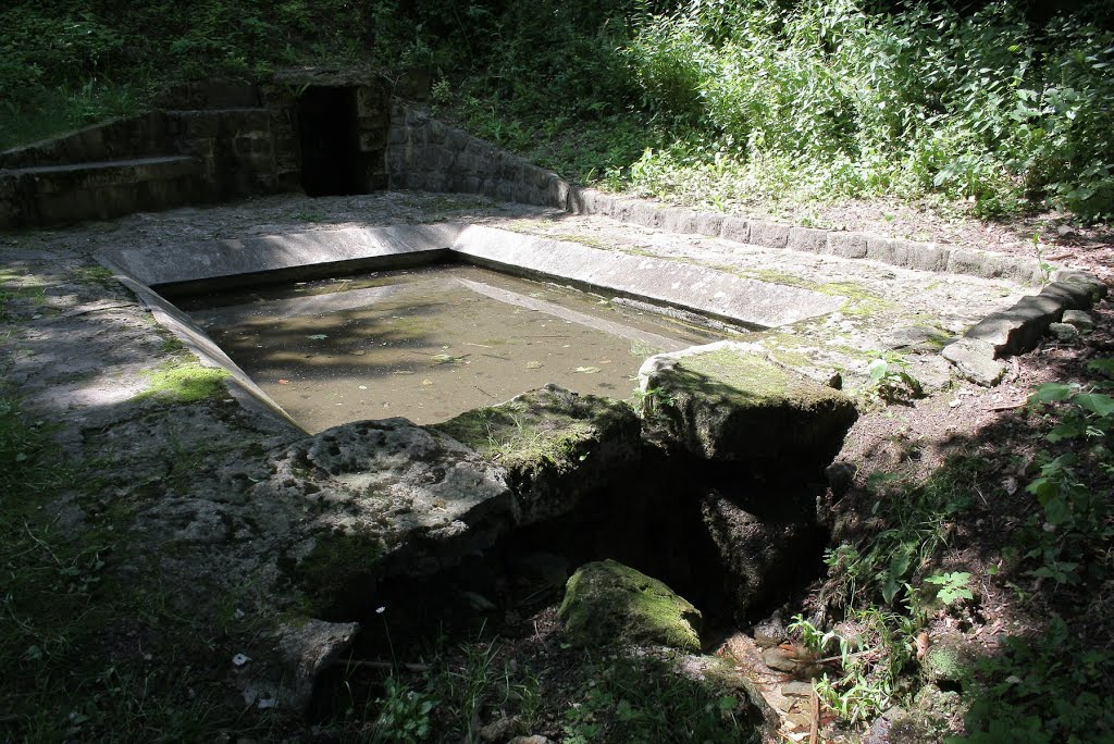 *Tracy-le-Mont: lavoir by Hans Briaire