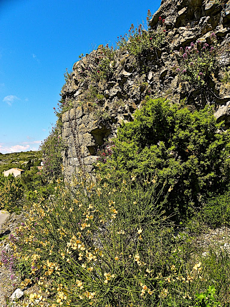 Vestigis de las fortificacions medievalas de Fontjoncosa by Franc Bardou