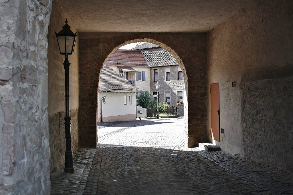 Steinau, Tor zur Burg by hamfilt