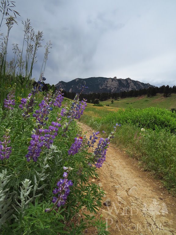 Eldorado Canyon Open Space by Wild Panoramic