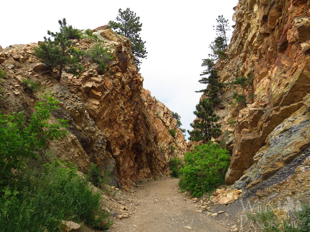 Eldorado Canyon Open Space by Wild Panoramic