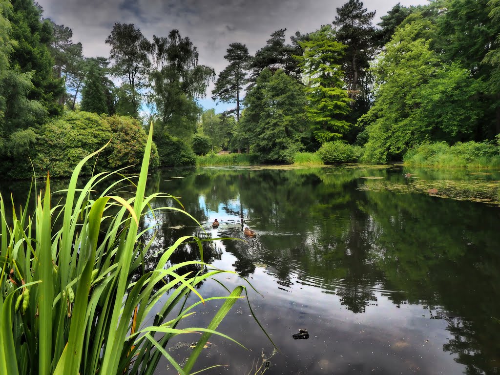 Hamburg Ohlsdorfer Friedhof, HDR.jpg by Torsten Schlüter