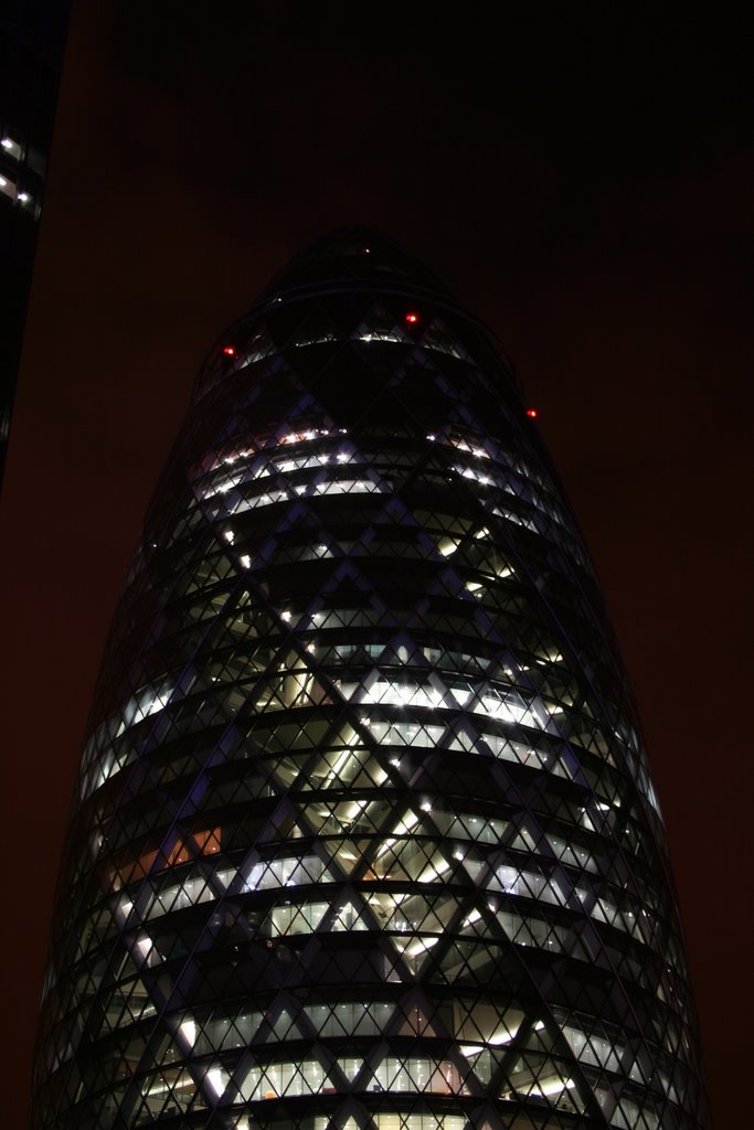 The Gherkin (30st Marys Axe) by TimMollart