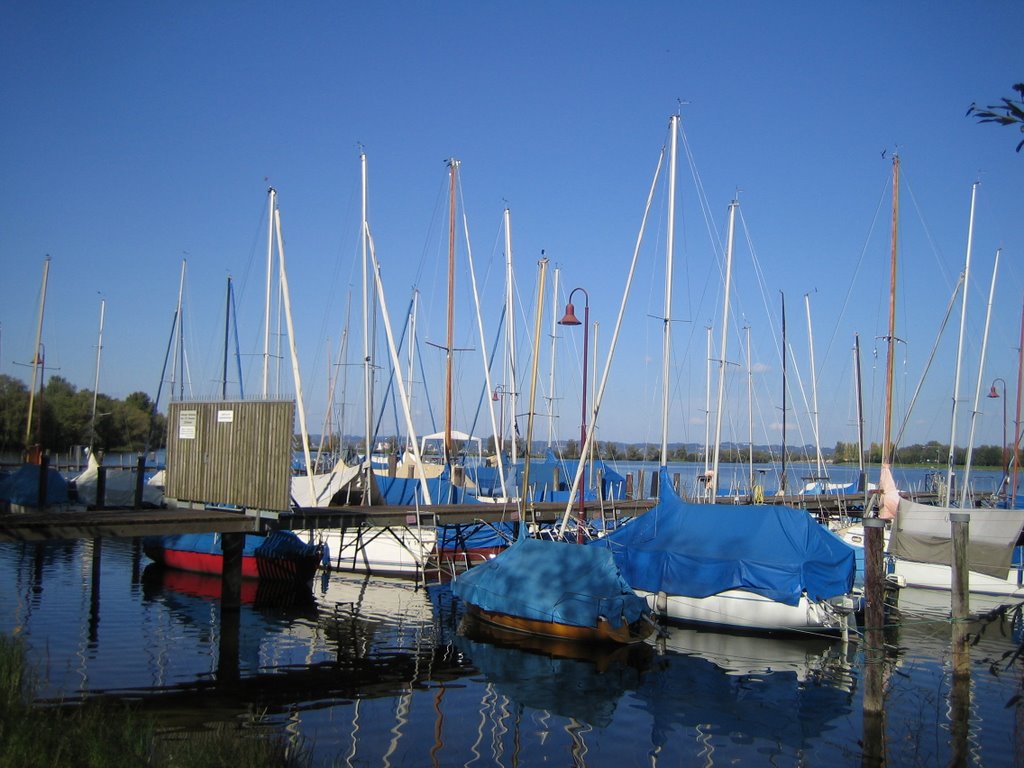 Binnenbecken-Boote by Gemeinde Hard