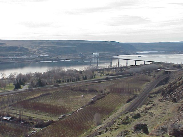 Columbia River - Maryhill, WA by Michael Cuadra