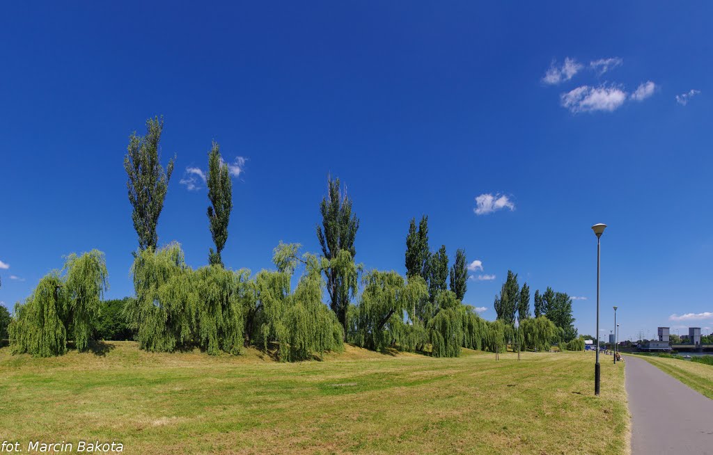 Wierzby nad Wisłokiem by Marcin Bakota