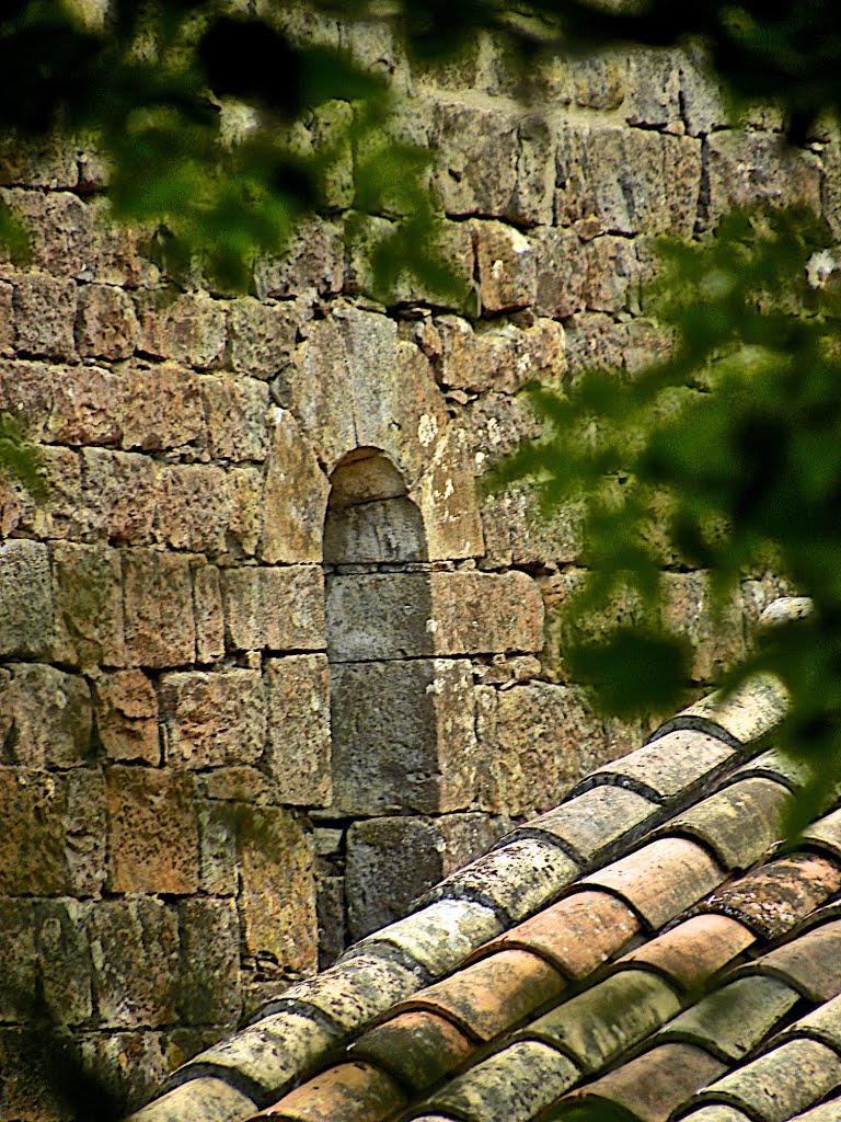 Abadia cisterciana Santa Maria de Riunet - Ladèrn de Carcassés by Franc Bardou